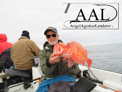 Angelagentur landerer
